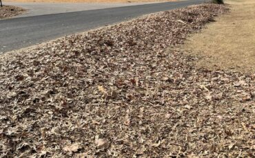 Professional fall and spring cleanup service for healthy landscapes