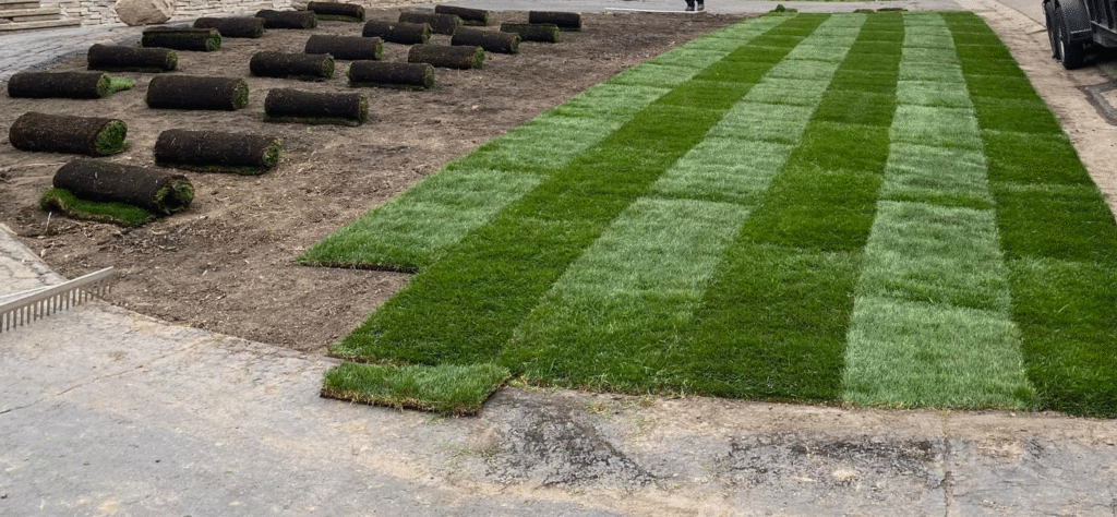 Professional sod installation service for residential and commercial landscapes