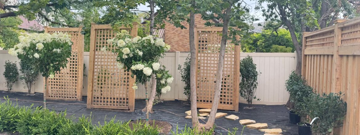 Landscaped garden with trees, shrubs, and colorful flowers