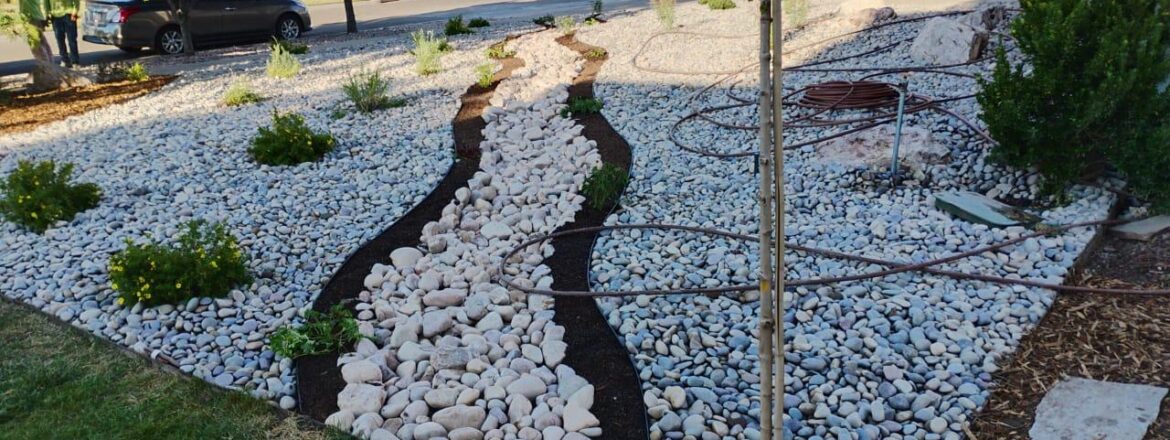 Best Drought-Resistant Plants for Salt Lake City Gardens