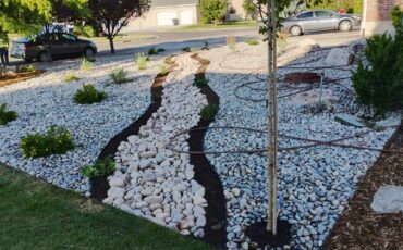 Best Drought-Resistant Plants for Salt Lake City Gardens